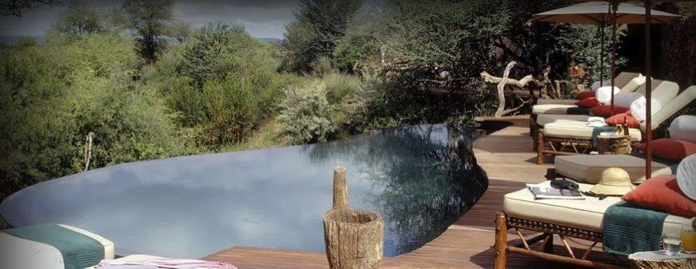 Sanctuary Makanyane Safari Lodge Madikwe Game Reserve Esterno foto