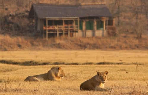 Sanctuary Makanyane Safari Lodge Madikwe Game Reserve Esterno foto