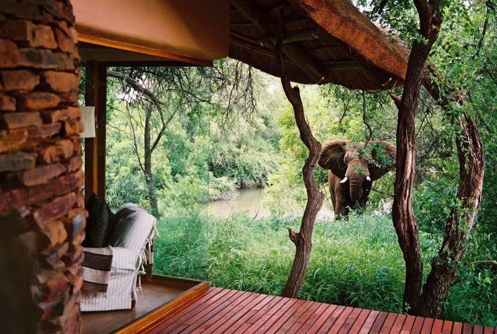 Sanctuary Makanyane Safari Lodge Madikwe Game Reserve Esterno foto